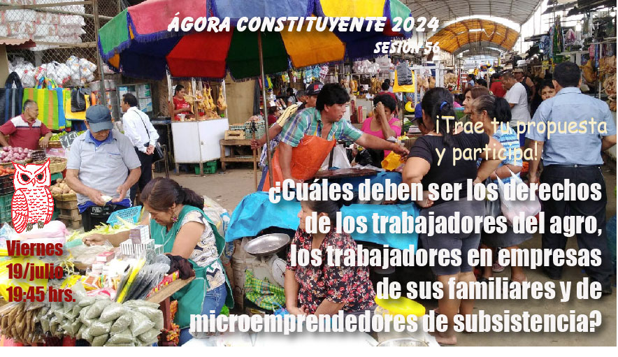 Ágora Constituyente, VIERNES 19 julio, Sesión Nº 56: ¿Cuáles deben ser los derechos de los trabajadores del agro, los trabajadores en empresas de sus familiares y de microemprendedores de subsistencia? 